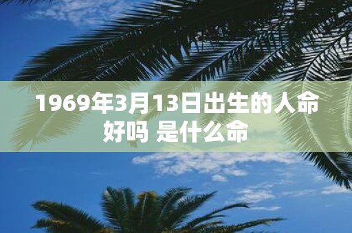 1969年3月13日出生的人命好吗 是什么命