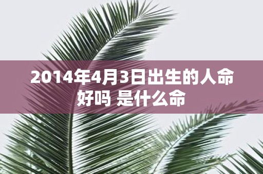 2014年4月3日出生的人命好吗 是什么命