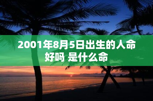 2001年8月5日出生的人命好吗 是什么命