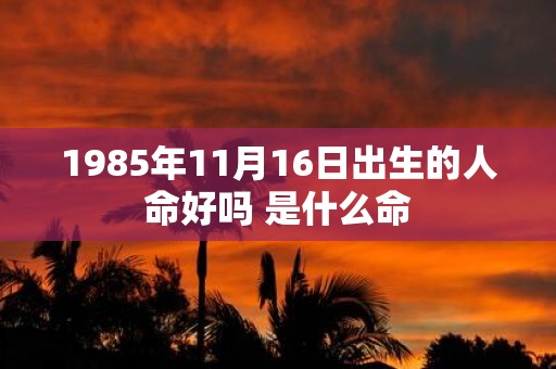 1985年11月16日出生的人命好吗 是什么命