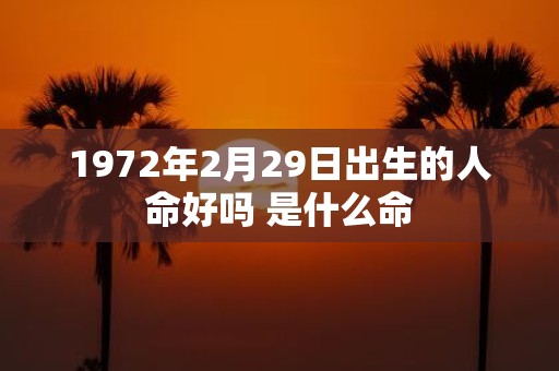 1972年2月29日出生的人命好吗 是什么命