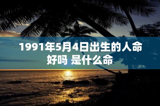 1991年5月4日出生的人命好吗 是什么命