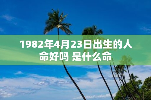 1982年4月23日出生的人命好吗 是什么命