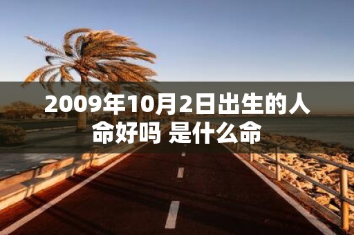 2009年10月2日出生的人命好吗 是什么命