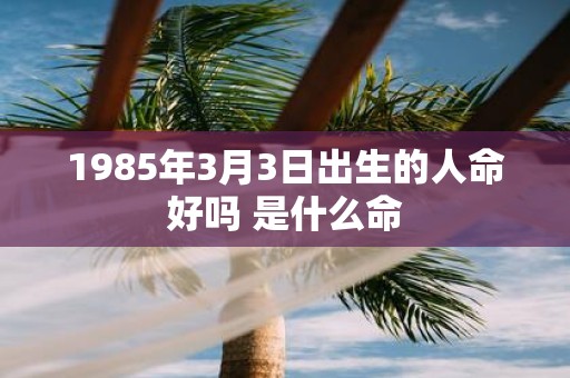 1985年3月3日出生的人命好吗 是什么命