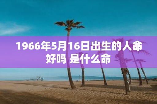 1966年5月16日出生的人命好吗 是什么命