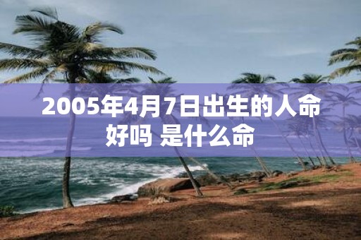 2005年4月7日出生的人命好吗 是什么命