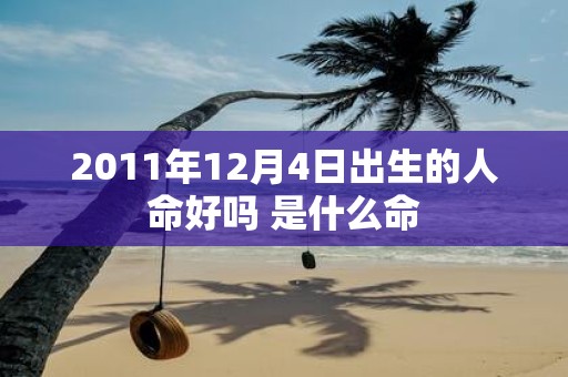2011年12月4日出生的人命好吗 是什么命