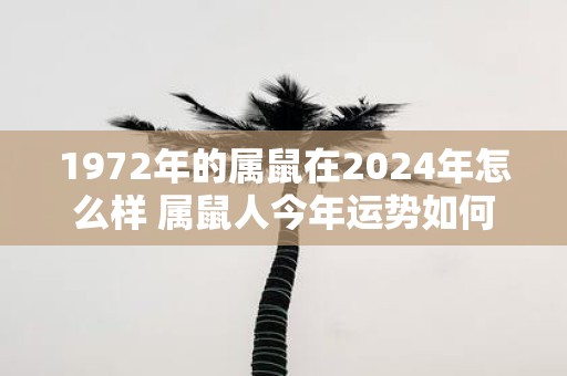 1972年的属鼠在2025年怎么样 属鼠人今年运势如何