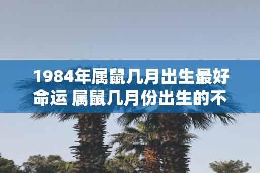 1984年属鼠几月出生最好命运 属鼠几月份出生的不好