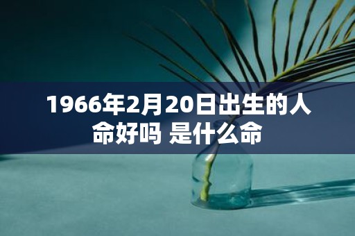 1966年2月20日出生的人命好吗 是什么命