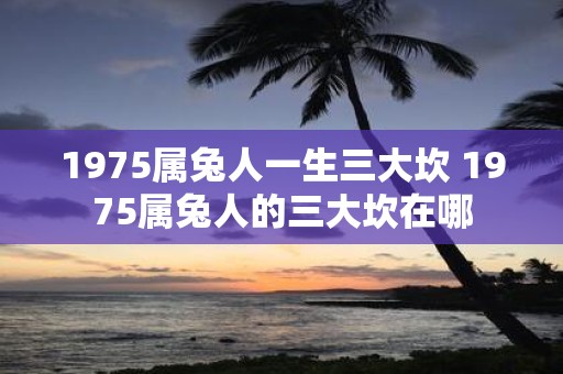 1975属兔人一生三大坎 1975属兔人的三大坎在哪