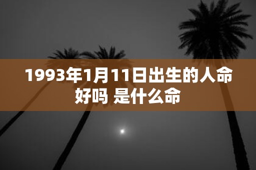 1993年1月11日出生的人命好吗 是什么命