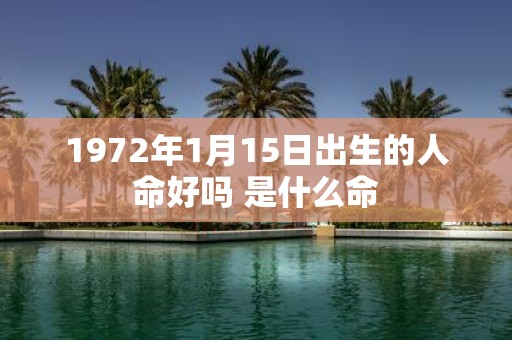 1972年1月15日出生的人命好吗 是什么命
