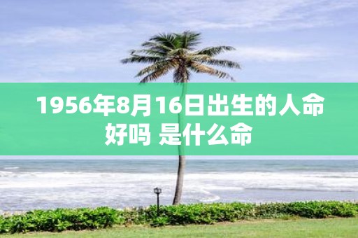 1956年8月16日出生的人命好吗 是什么命