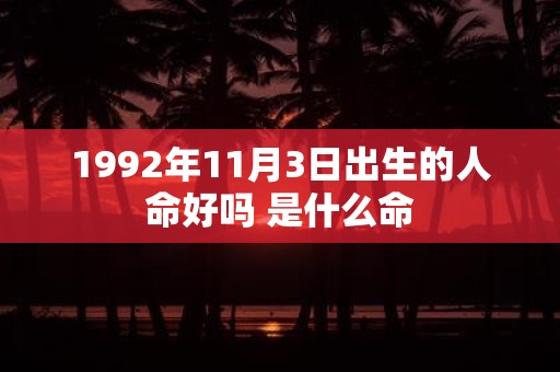 1992年11月3日出生的人命好吗 是什么命