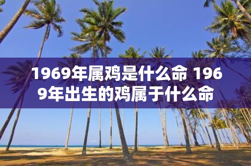 1969年属鸡是什么命 1969年出生的鸡属于什么命