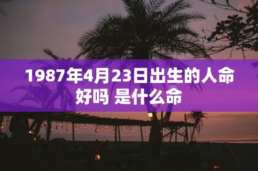 1987年4月23日出生的人命好吗 是什么命