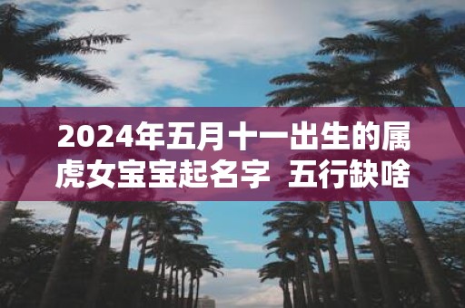 2025年五月十一出生的属虎女宝宝起名字 五行缺啥
