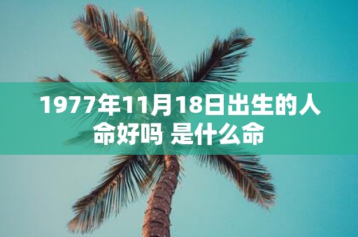 1977年11月18日出生的人命好吗 是什么命