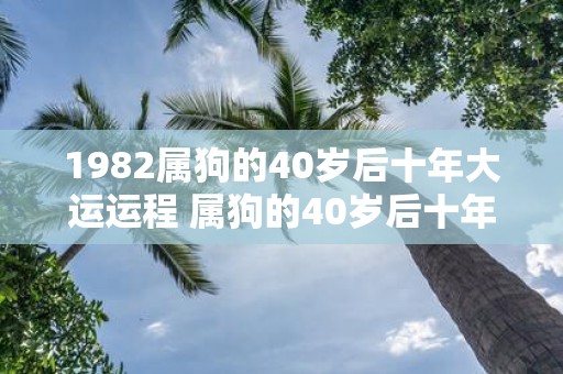 1982属狗的40岁后十年大运运程 属狗的40岁后十年大运如何