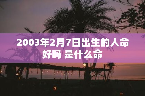 2003年2月7日出生的人命好吗 是什么命