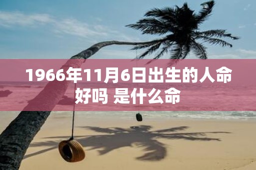1966年11月6日出生的人命好吗 是什么命
