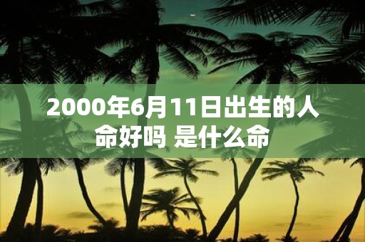 2000年6月11日出生的人命好吗 是什么命