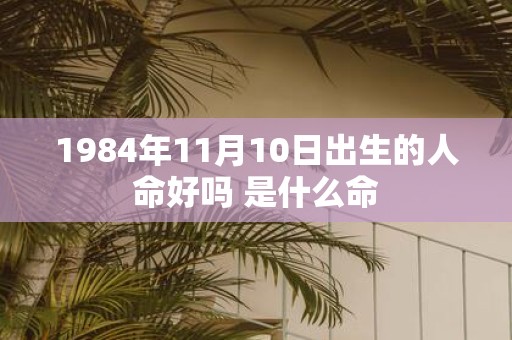 1984年11月10日出生的人命好吗 是什么命