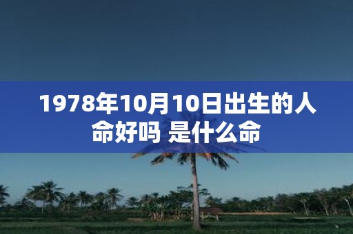 1978年10月10日出生的人命好吗 是什么命