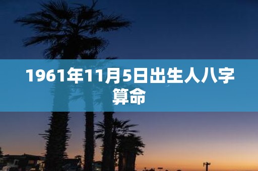 1961年11月5日出生人八字算命