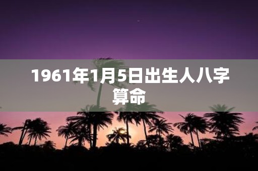 1961年1月5日出生人八字算命