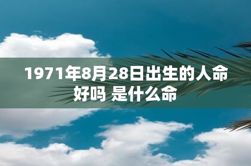 1971年8月28日出生的人命好吗 是什么命