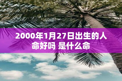 2000年1月27日出生的人命好吗 是什么命