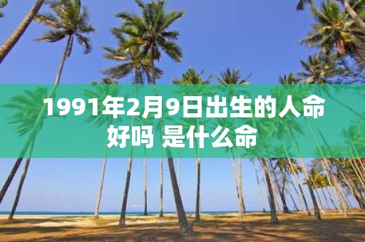 1991年2月9日出生的人命好吗 是什么命