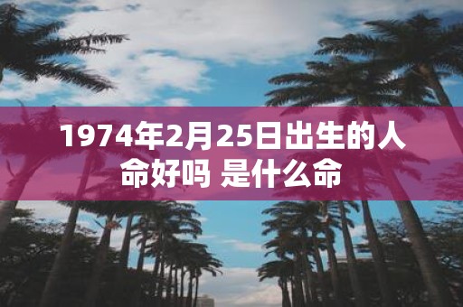 1974年2月25日出生的人命好吗 是什么命