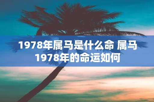 1978年属马是什么命 属马1978年的命运如何