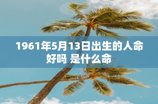 1961年5月13日出生的人命好吗 是什么命