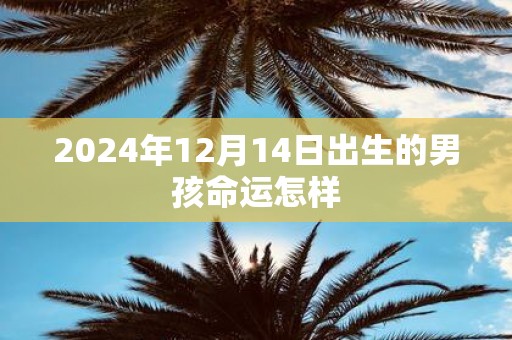 2025年12月14日出生的男孩命运怎样