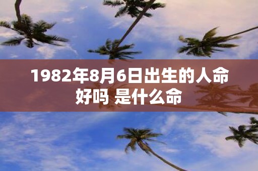 1982年8月6日出生的人命好吗 是什么命