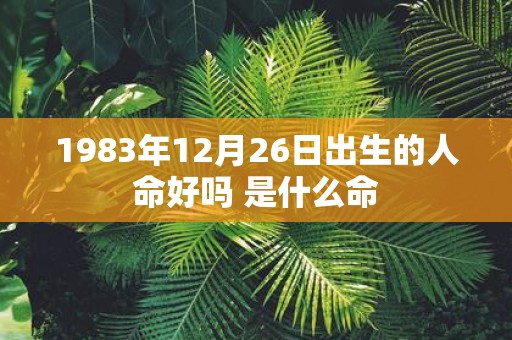 1983年12月26日出生的人命好吗 是什么命