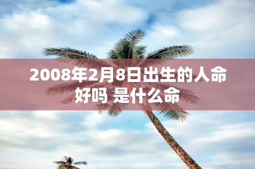 2008年2月8日出生的人命好吗 是什么命