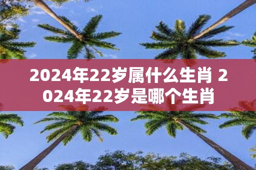 2025年22岁属什么生肖 2025年22岁是哪个生肖