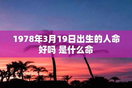 1978年3月19日出生的人命好吗 是什么命