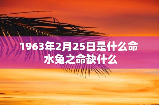 1963年2月25日是什么命 水兔之命缺什么