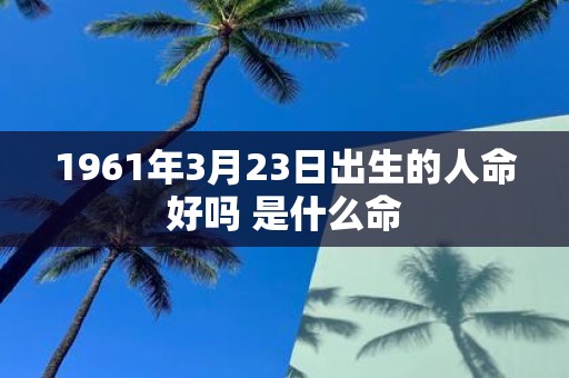 1961年3月23日出生的人命好吗 是什么命