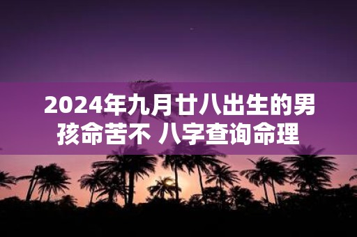 2025年九月廿八出生的男孩命苦不 八字查询命理