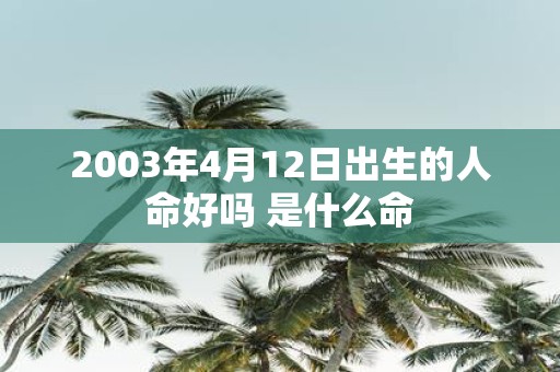 2003年4月12日出生的人命好吗 是什么命