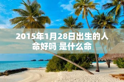 2015年1月28日出生的人命好吗 是什么命