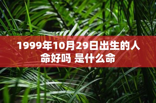 1999年10月29日出生的人命好吗 是什么命